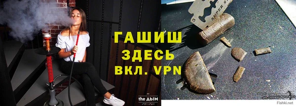 индика Тутаев