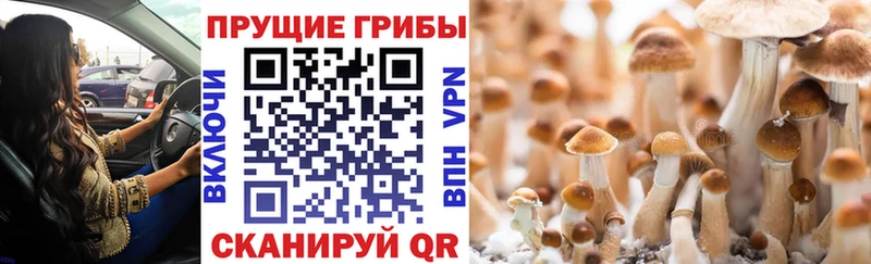 Галлюциногенные грибы мухоморы  купить наркотик  мега ссылка  Нелидово 